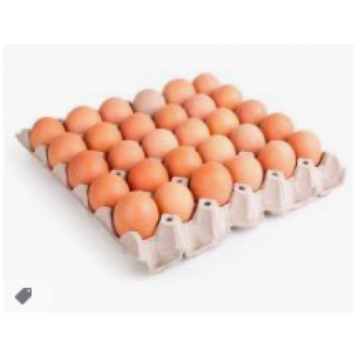 Bandeja de huevos